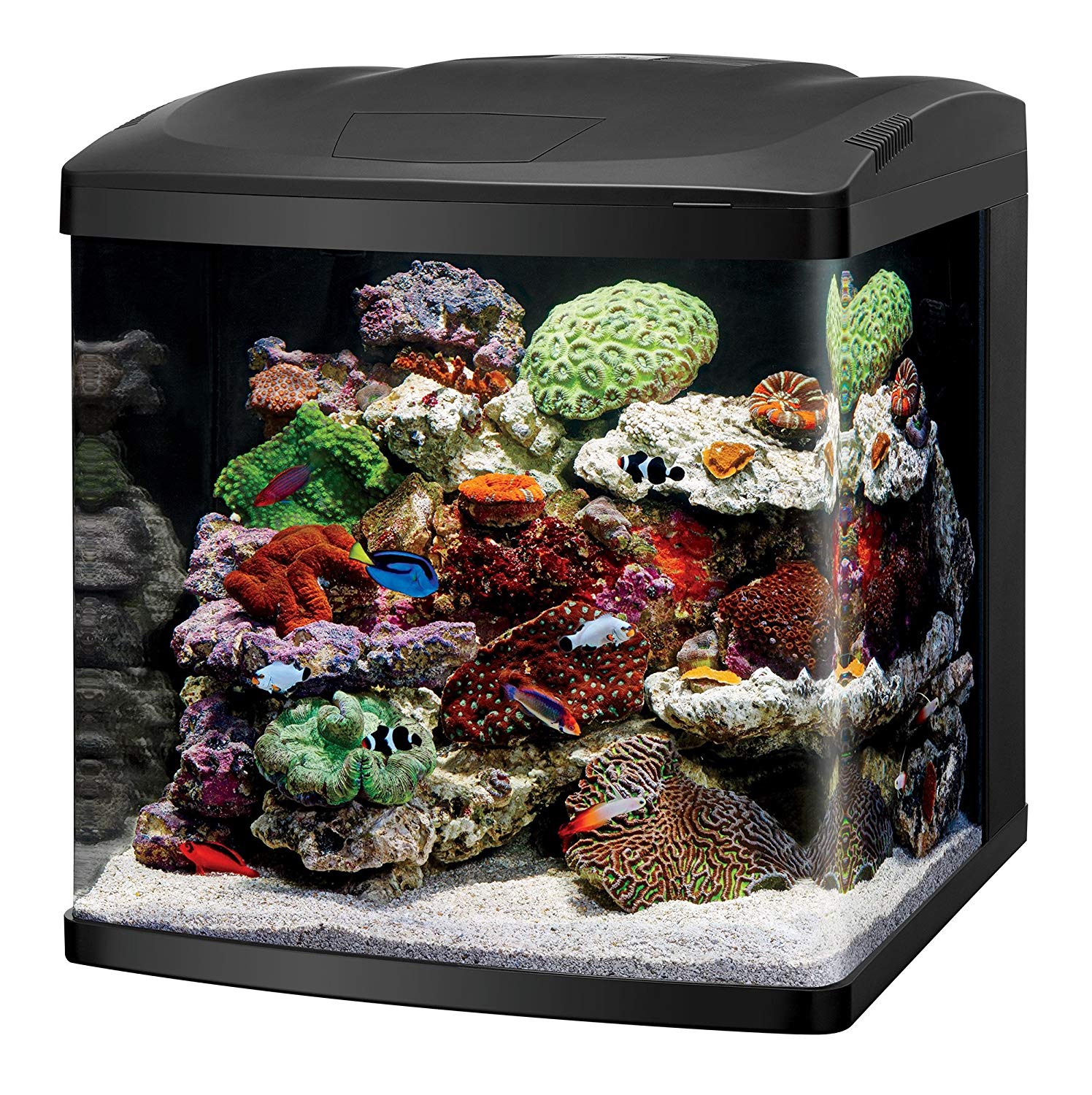 Coralife BioCube Reef Tank Aquarium