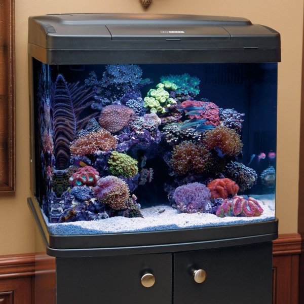 Coralife BioCube Reef Tank Aquarium