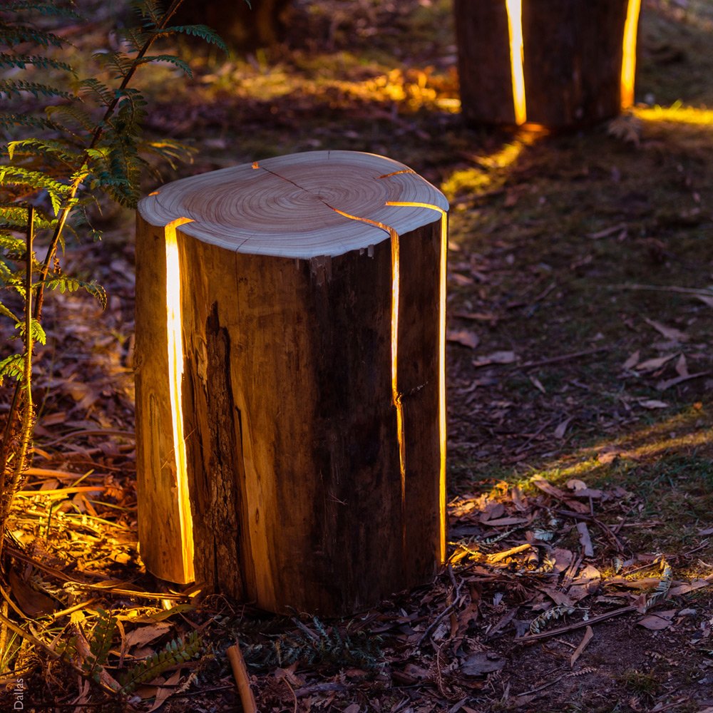 Cracked Log Lamp
