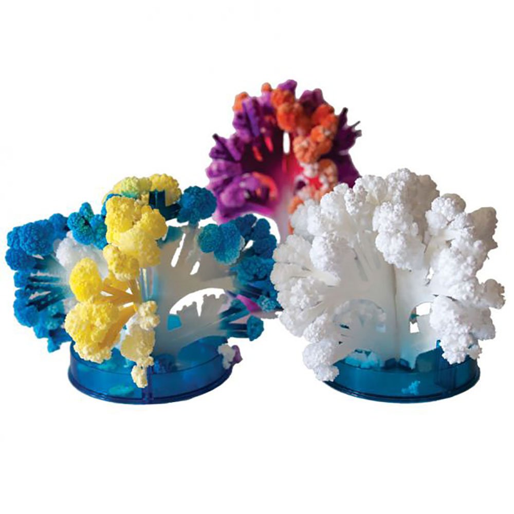 Crystal Growing Coral Reef