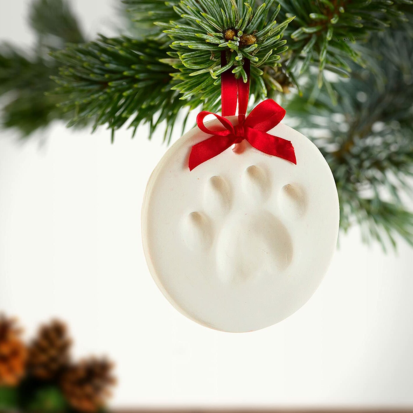 Custom Pet Pawprint Hanging Keepsake Ornament