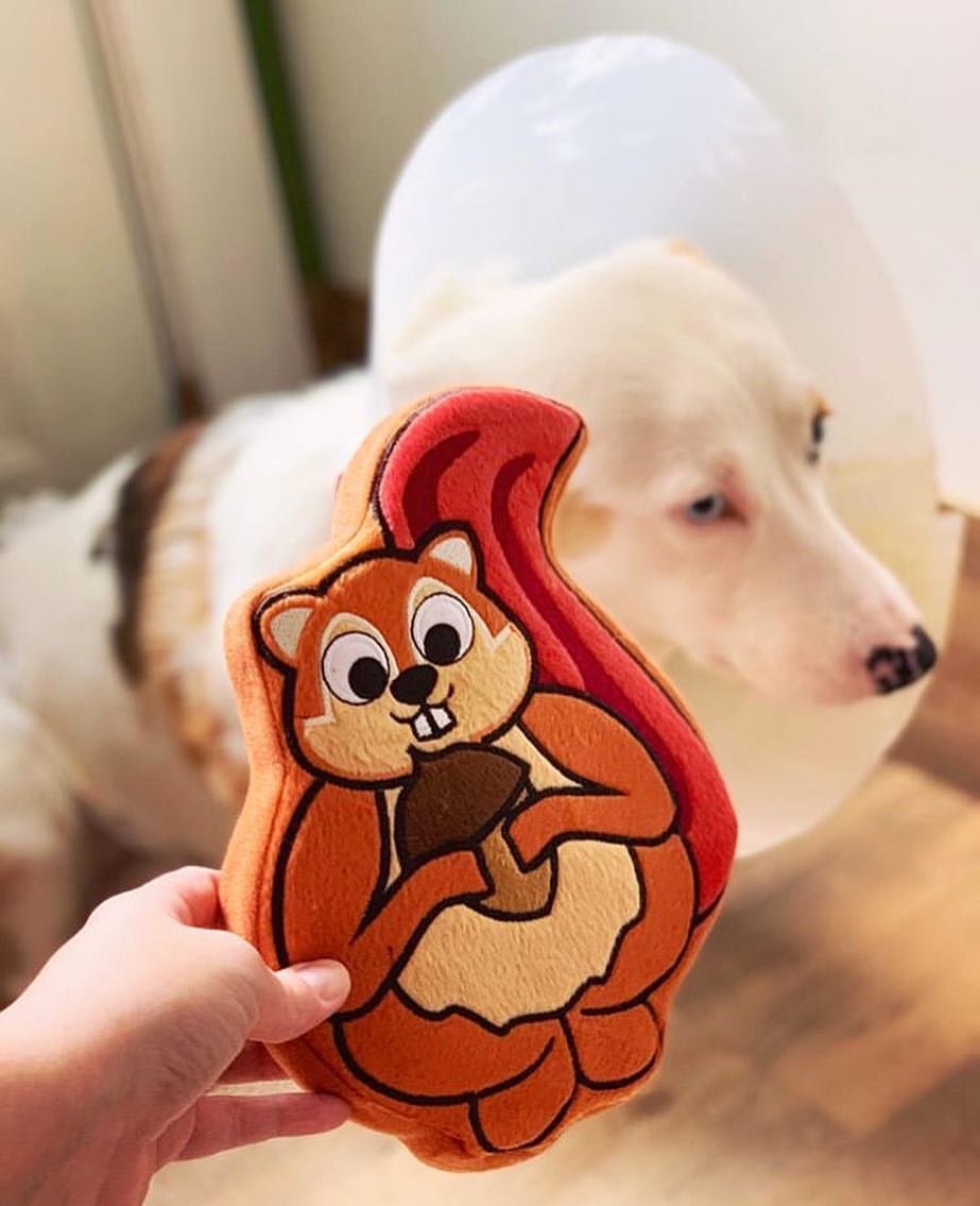 Customizable Pet Products and Toys