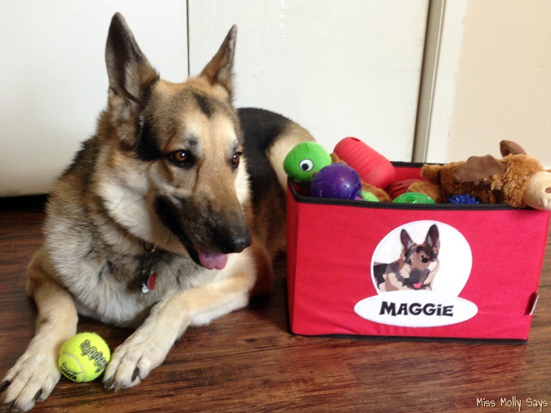 Customizable Pet Products and Toys