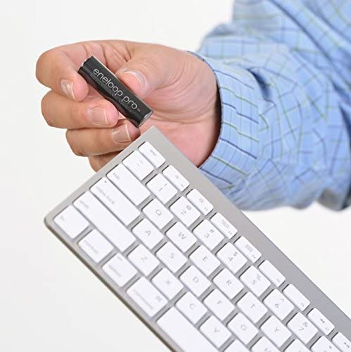 Cycle Charger with Rechargeable Batteries Pack