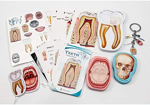 Dentist and Dental Hygienist 11 Piece Gift Box