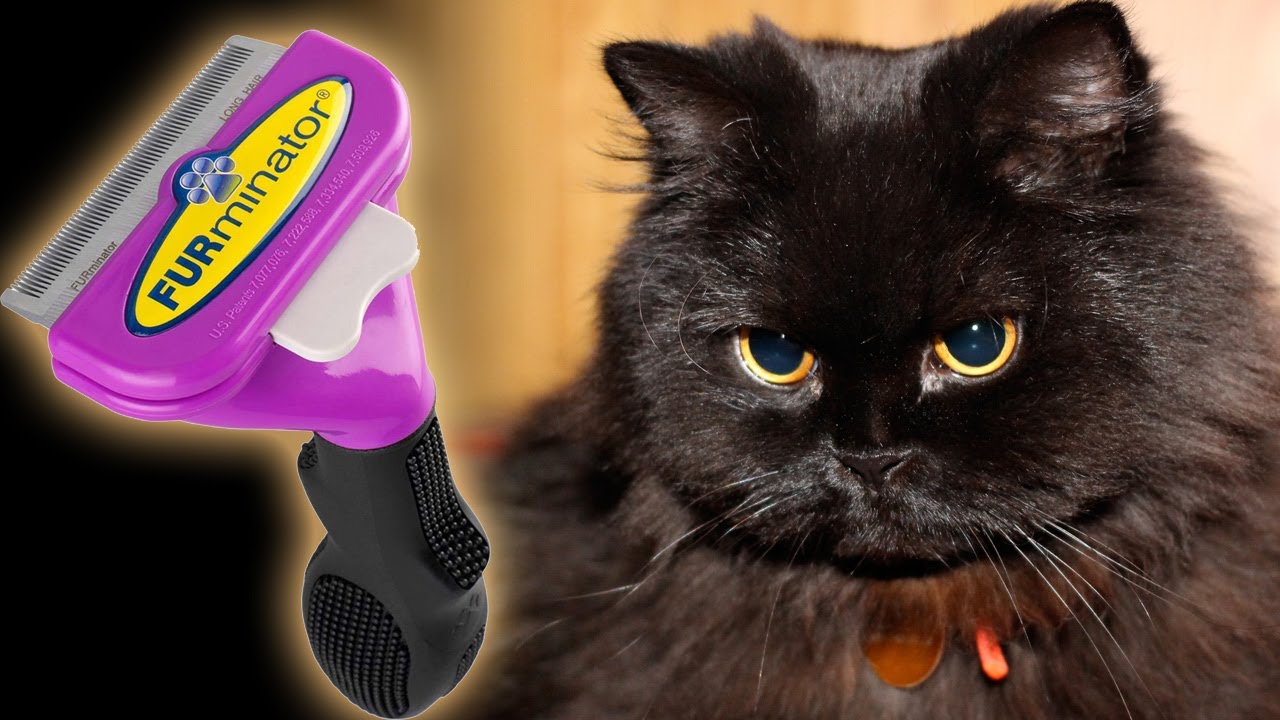 Deshedding Tool for Cats