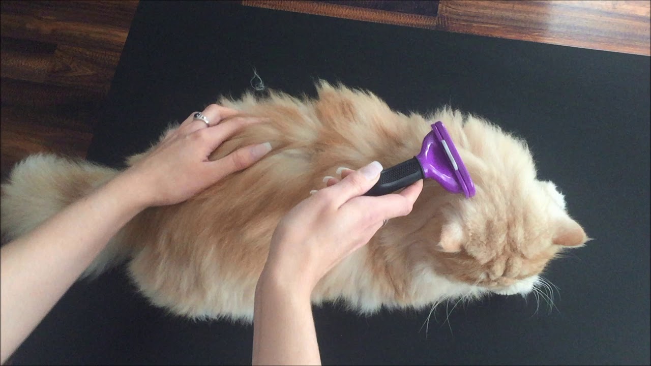 Deshedding Tool for Cats