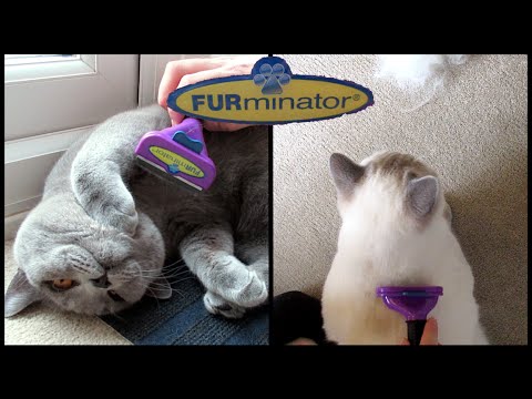 Deshedding Tool for Cats