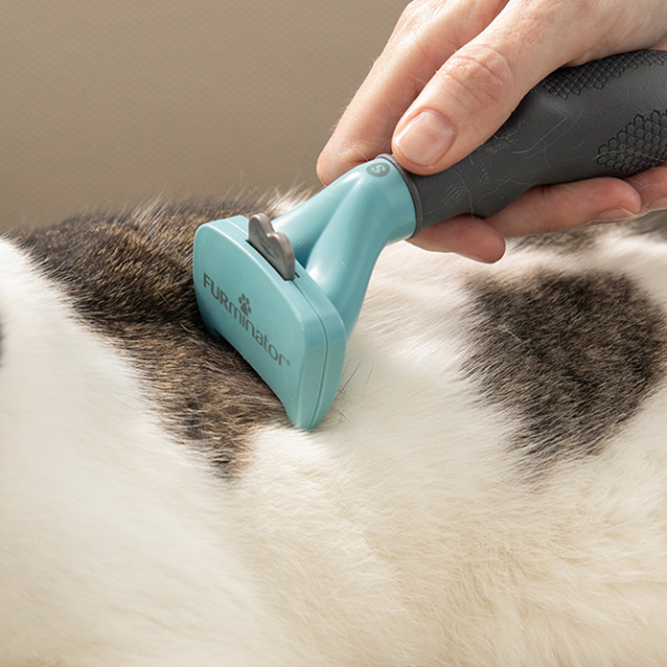 Deshedding Tool for Cats