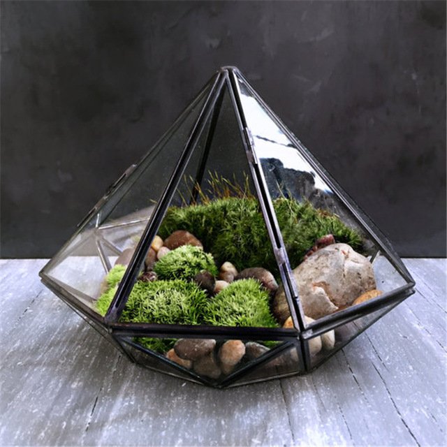 Diamond Shaped Glass Terrarium