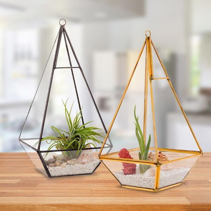 Diamond Shaped Glass Terrarium