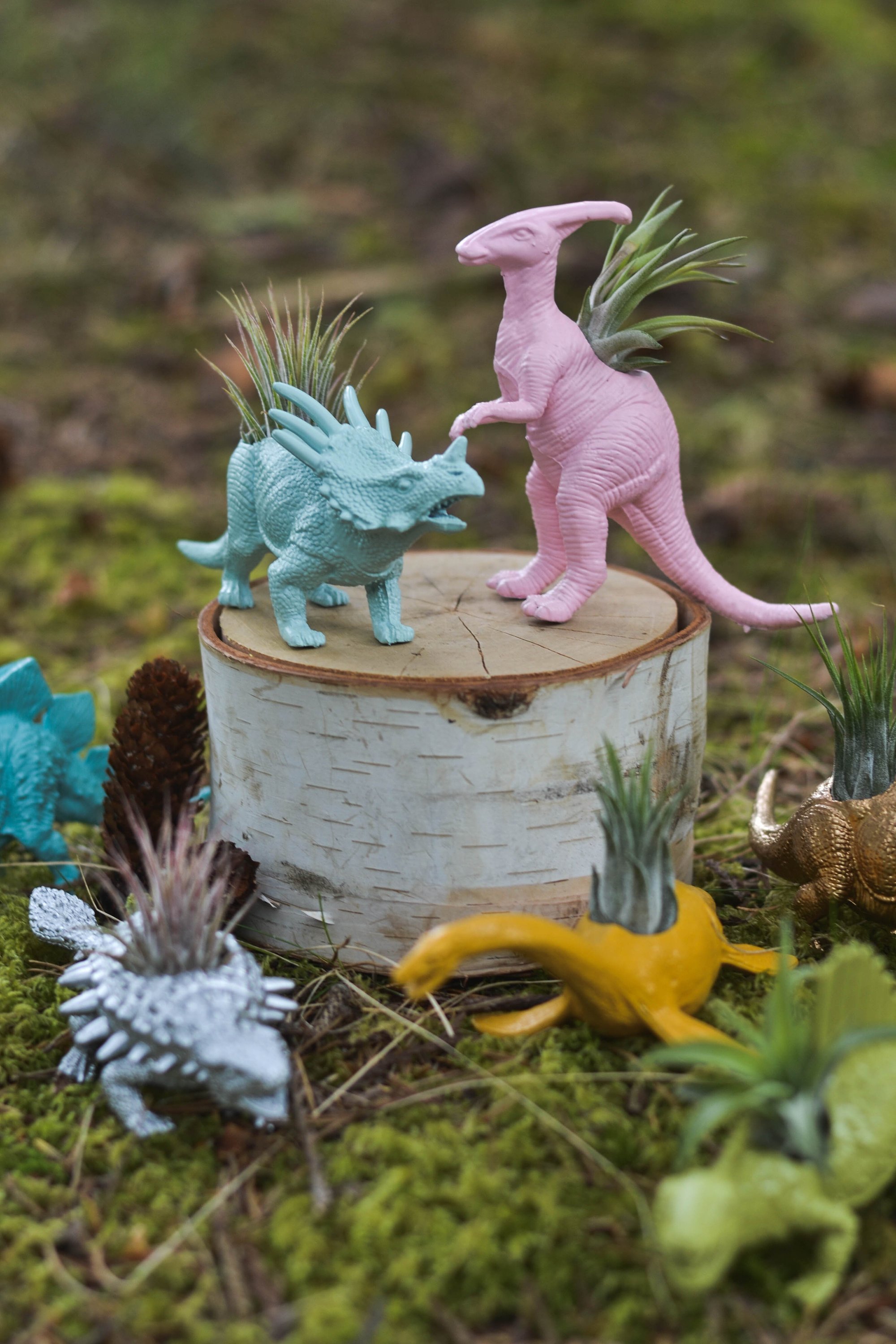 Dinosaur Planter with Air Plant