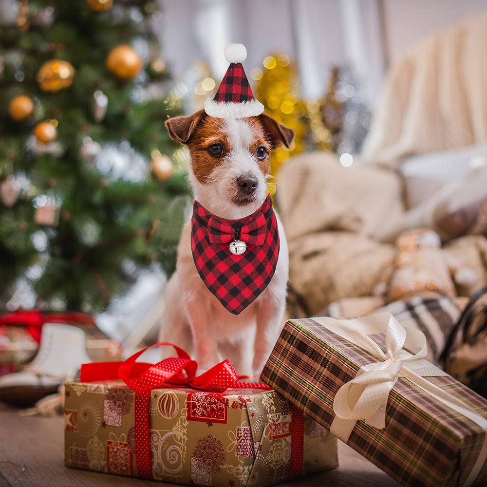 Dog Christmas Outfit Set 