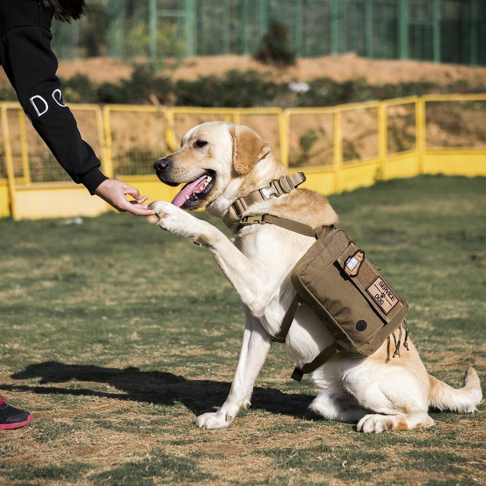 Dog Hiking Backpack 