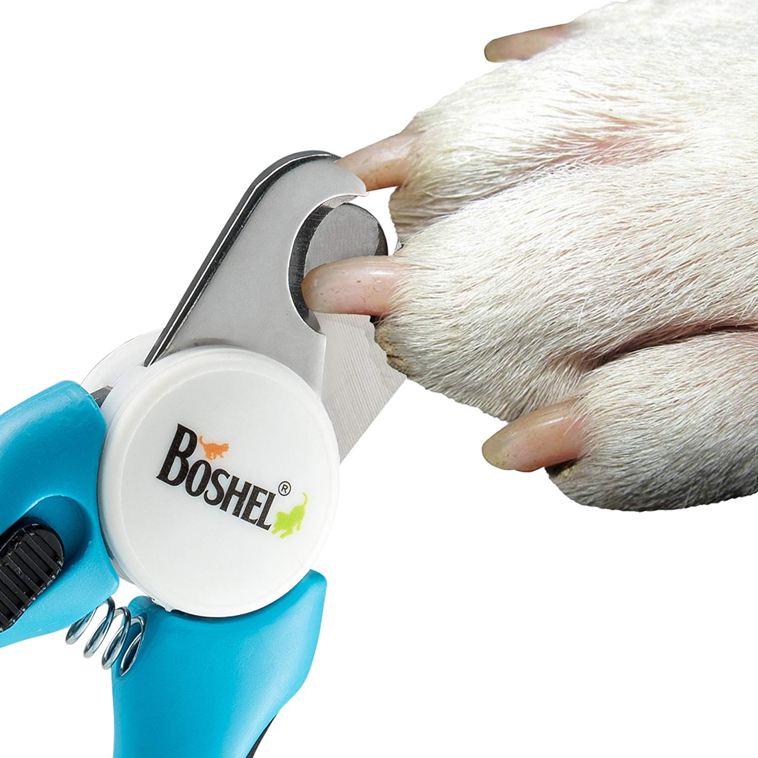 Dog Nail Clippers and Trimmer with Safety Guard