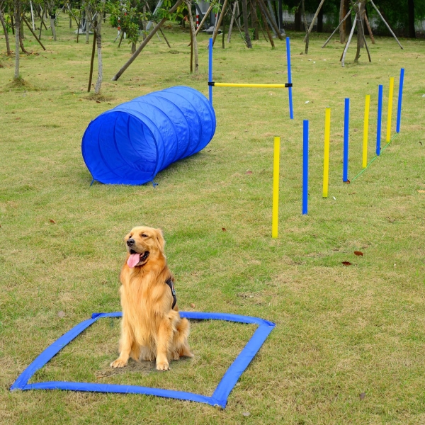 Dog Obstacle Agility Training Kit