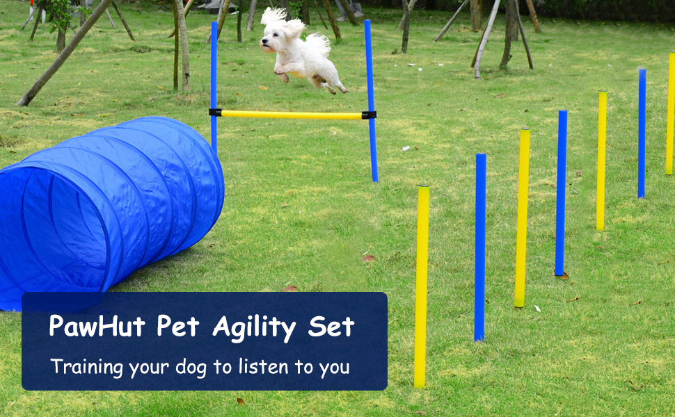 Dog Obstacle Agility Training Kit