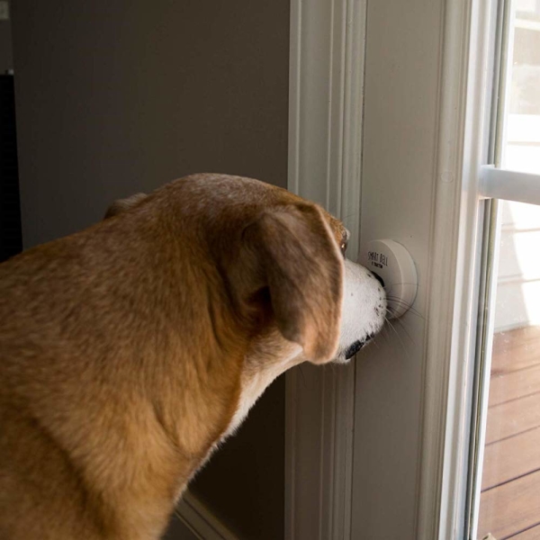 Dog Potty Communication Doorbell