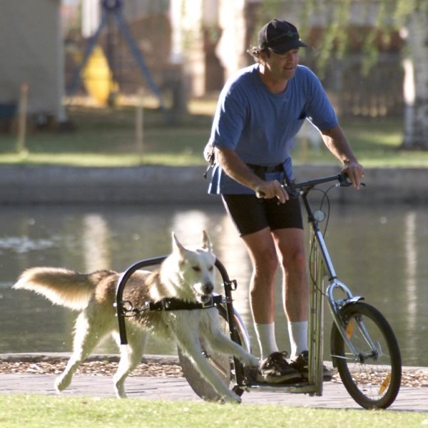 Dog Powered Scooter