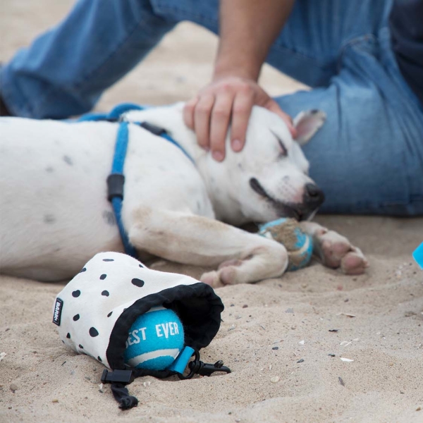 Dog Tennis Ball Carrying Pouch