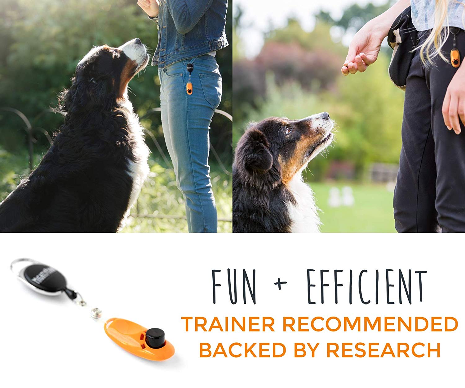 Dog Training Clicker