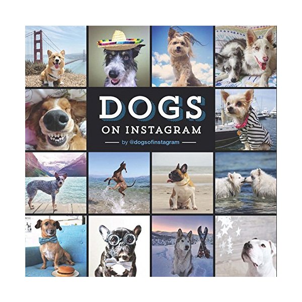 Dogs on Instagram Photobook