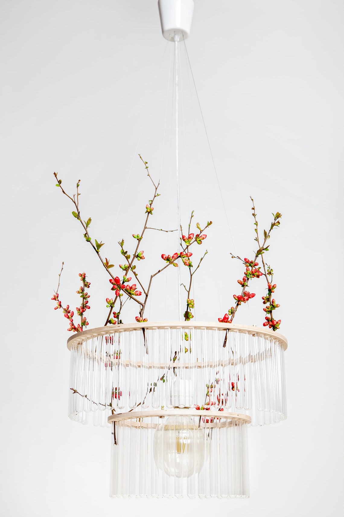 Double Test Tubes Chandelier