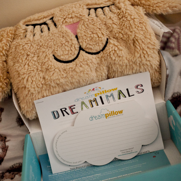 Dream Wishing Comfort Pillow