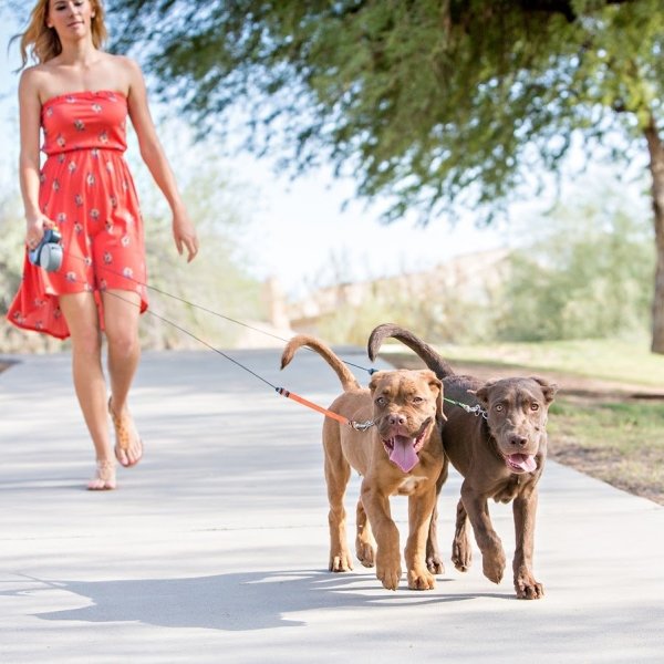 Dual Doggie Pet Leash