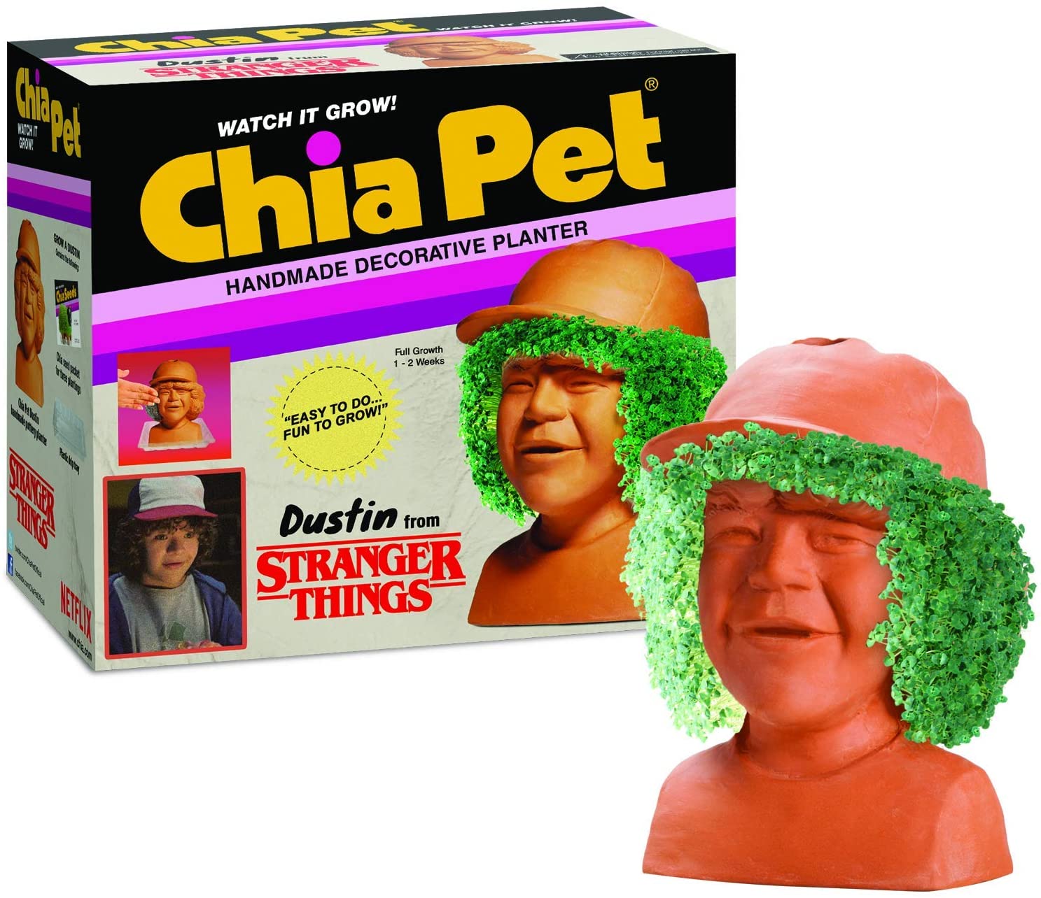 Dustin Stranger Things Chia Pet