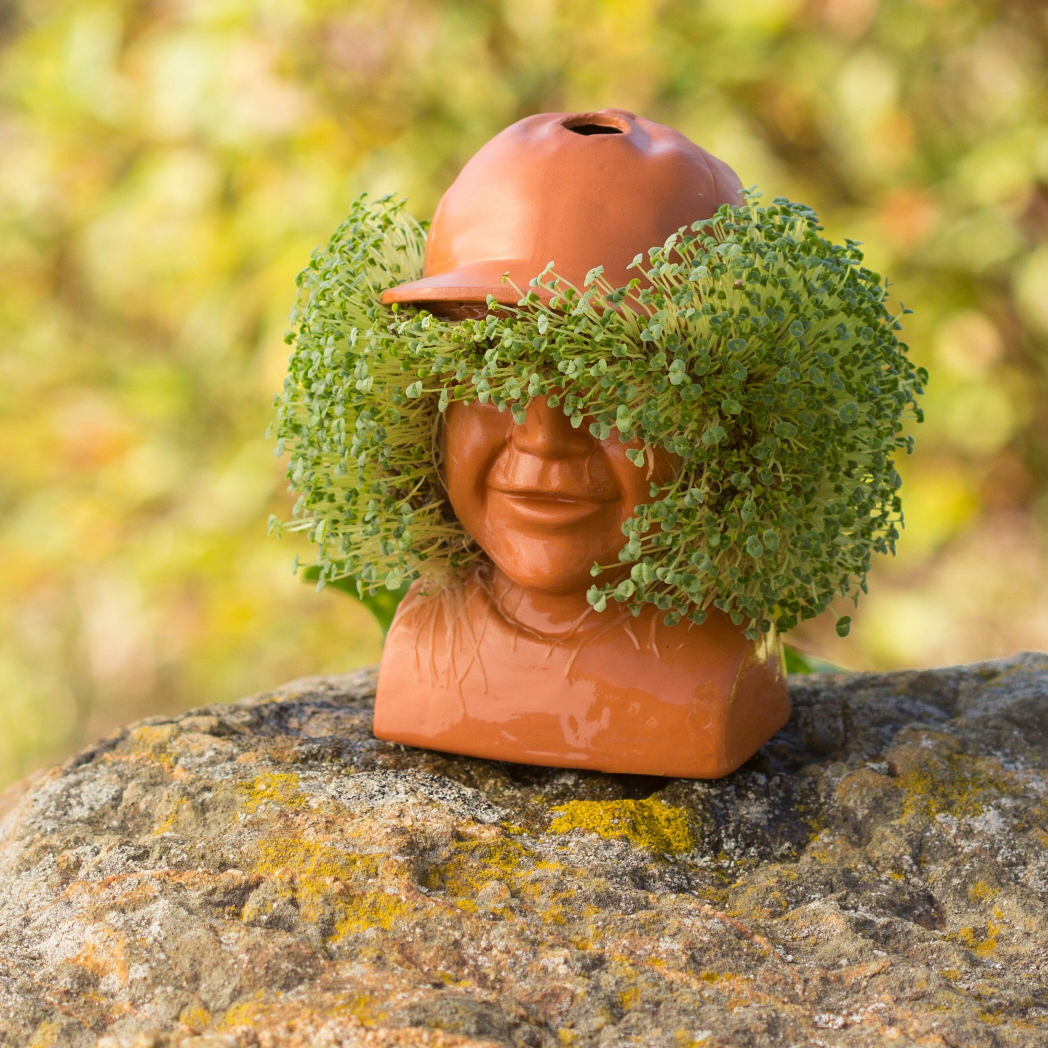 Dustin Stranger Things Chia Pet