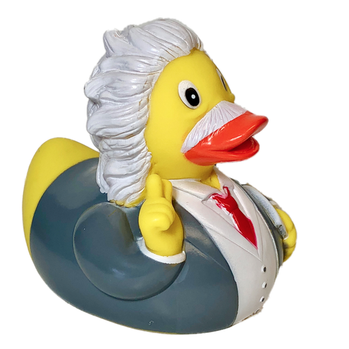 Einstein Rubber Duck