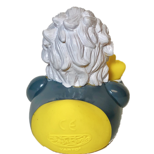 Einstein Rubber Duck