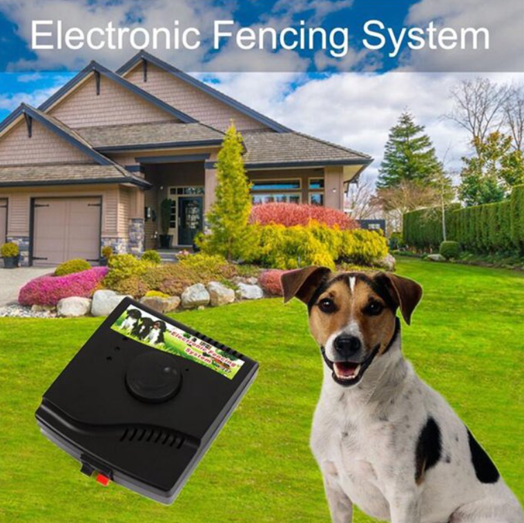 Electronic Dog Fence