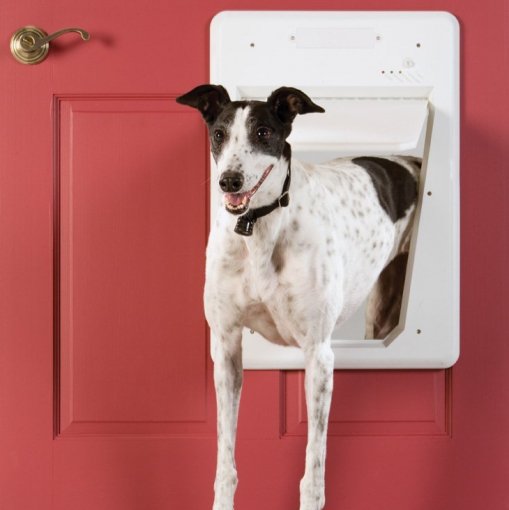 Electronic SmartDoor for Pets