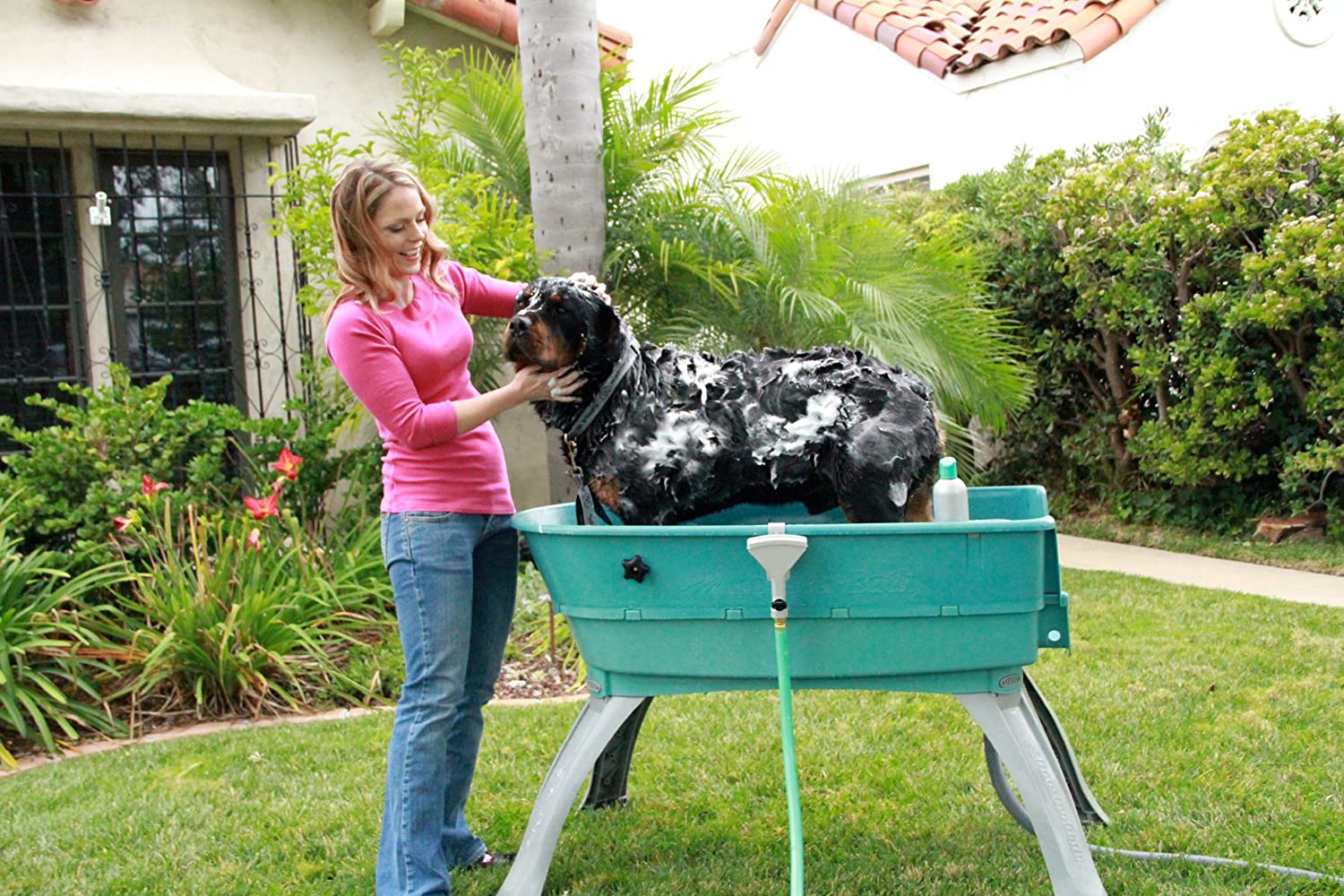 Elevated Pet Bath