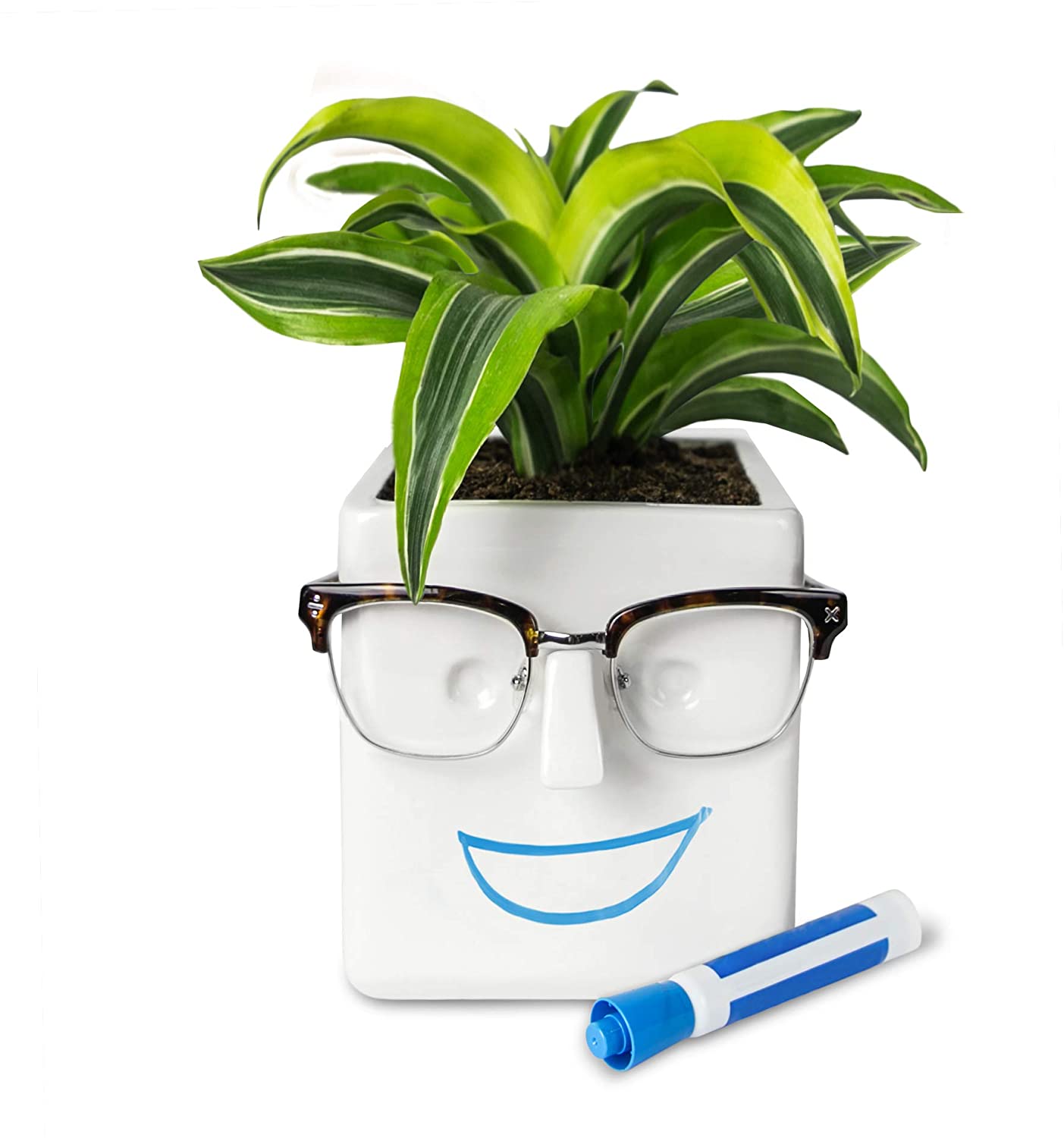Face Plant Planter and Eyeglass Holder