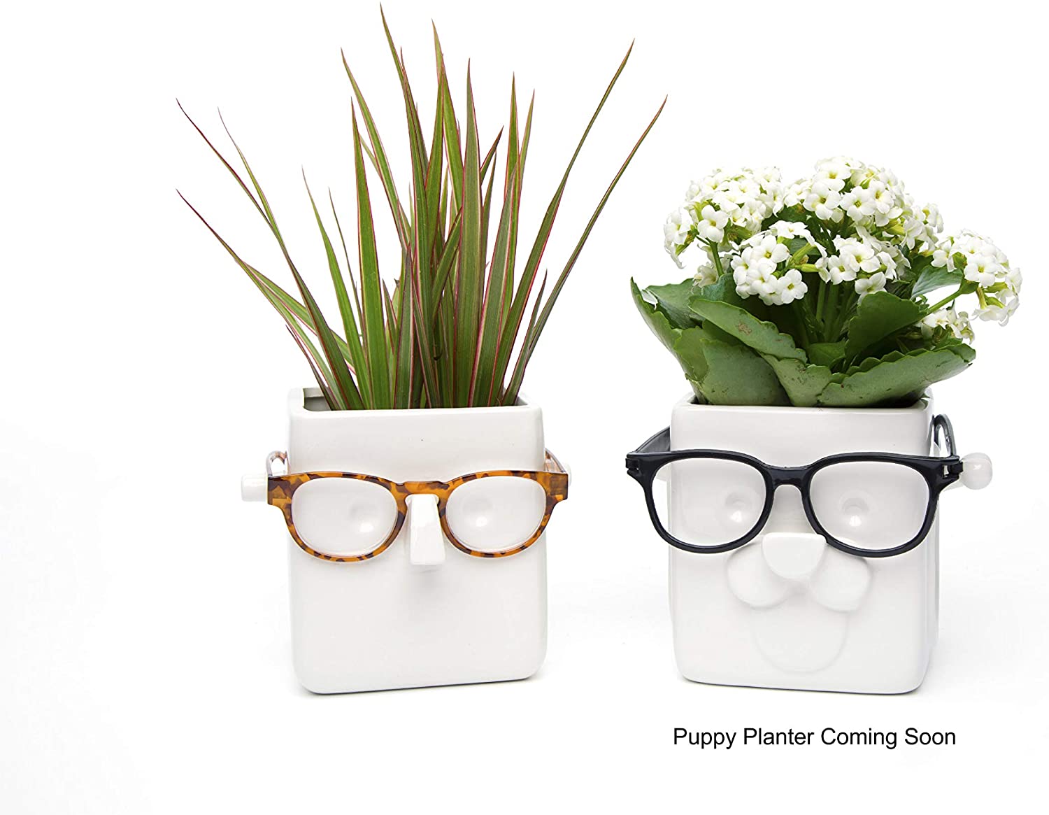 Face Plant Planter and Eyeglass Holder