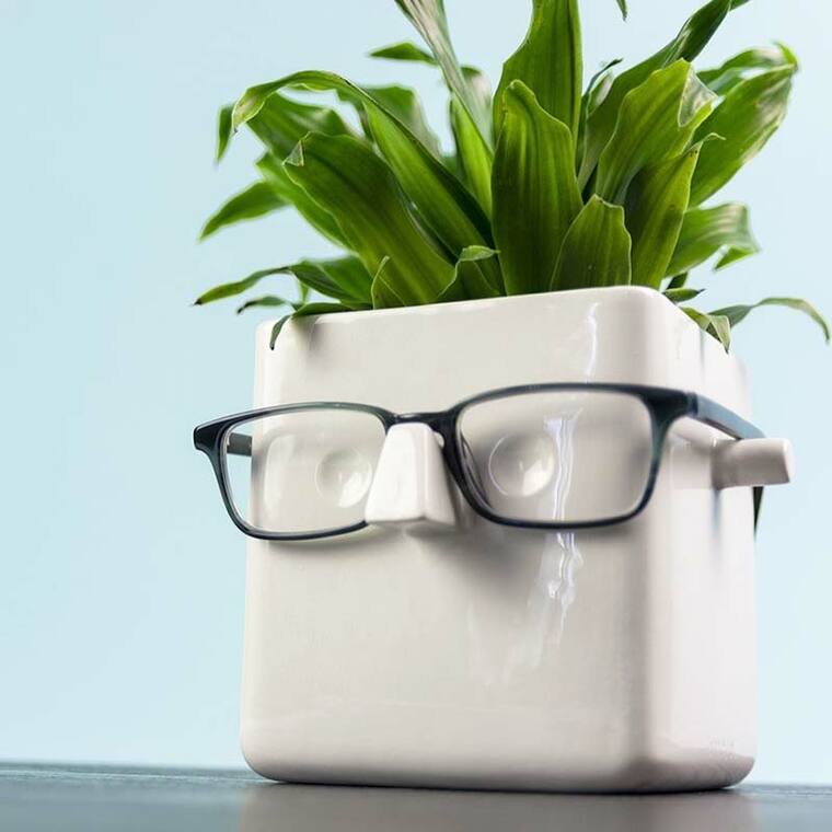 Face Plant Planter and Eyeglass Holder