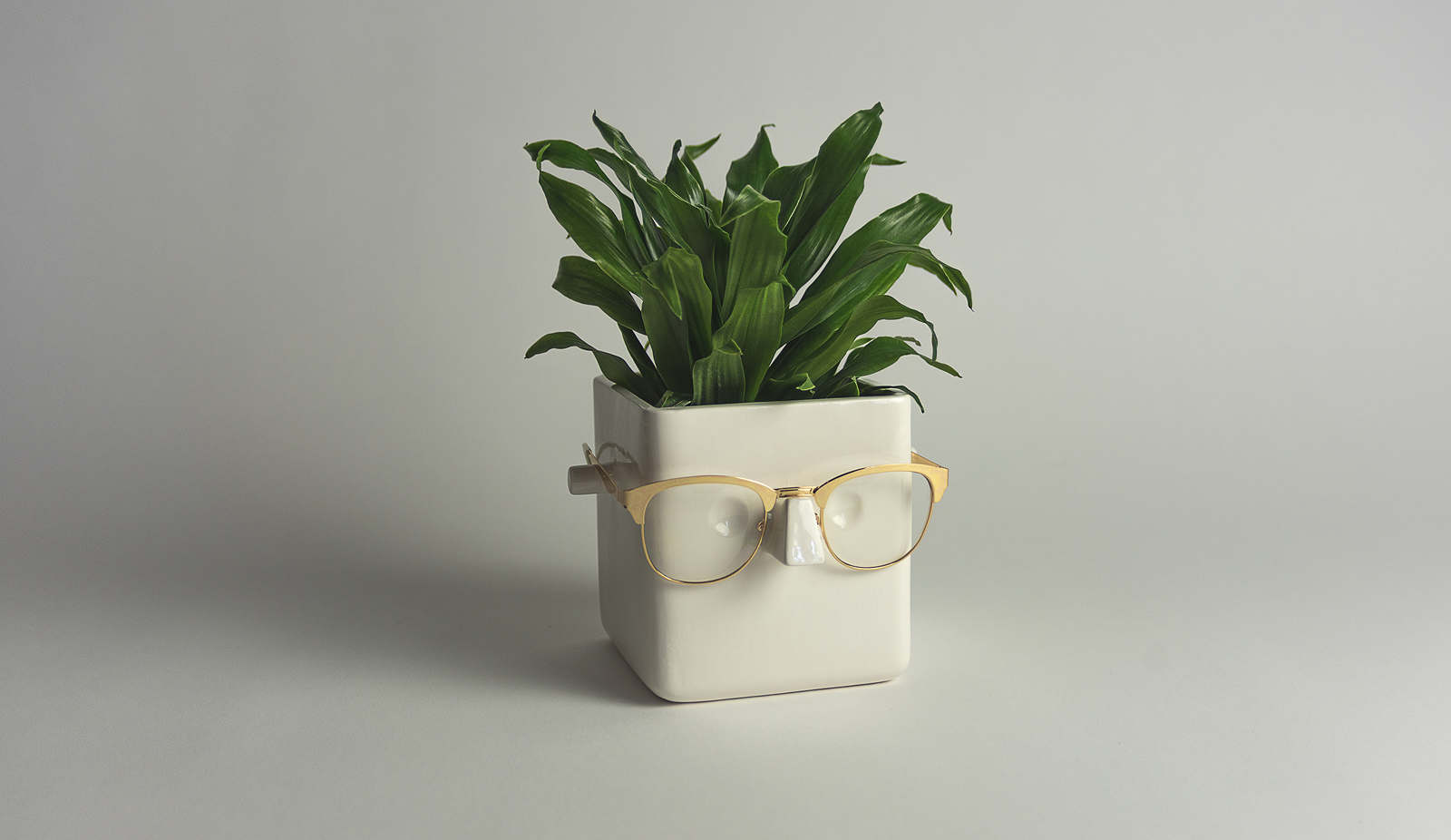 Face Plant Planter and Eyeglass Holder