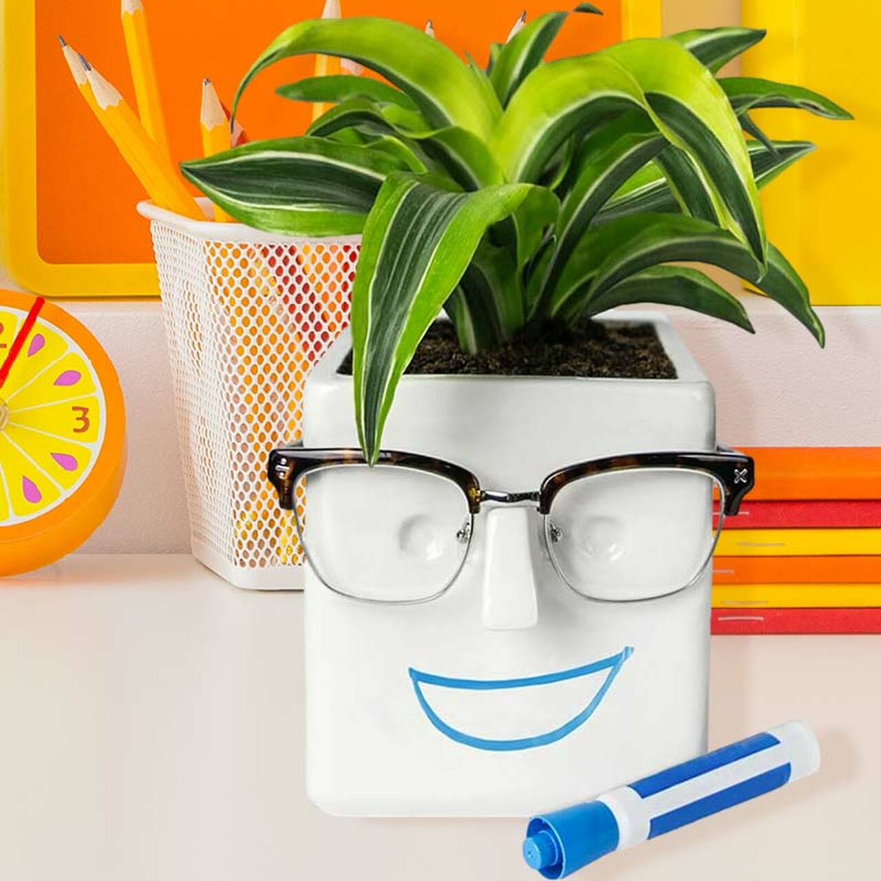 Face Plant Planter and Eyeglass Holder