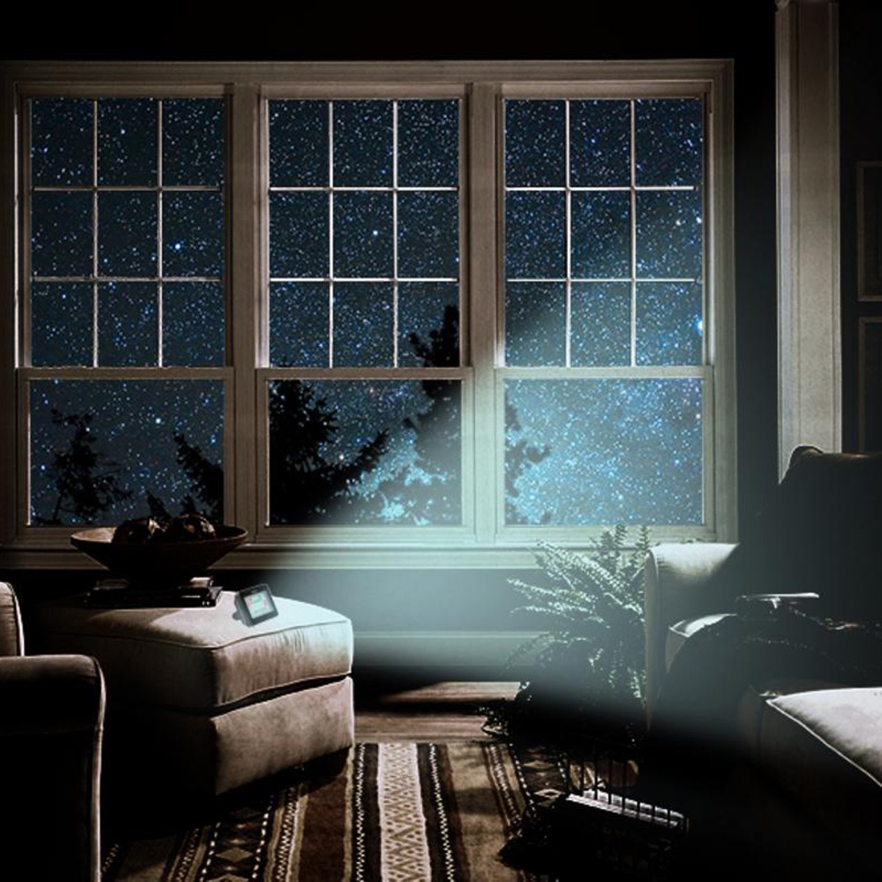 FakeTV Extra Bright Burglar Deterrent