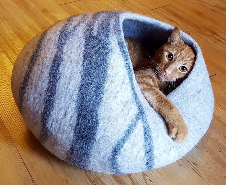 Felt Cat Cave