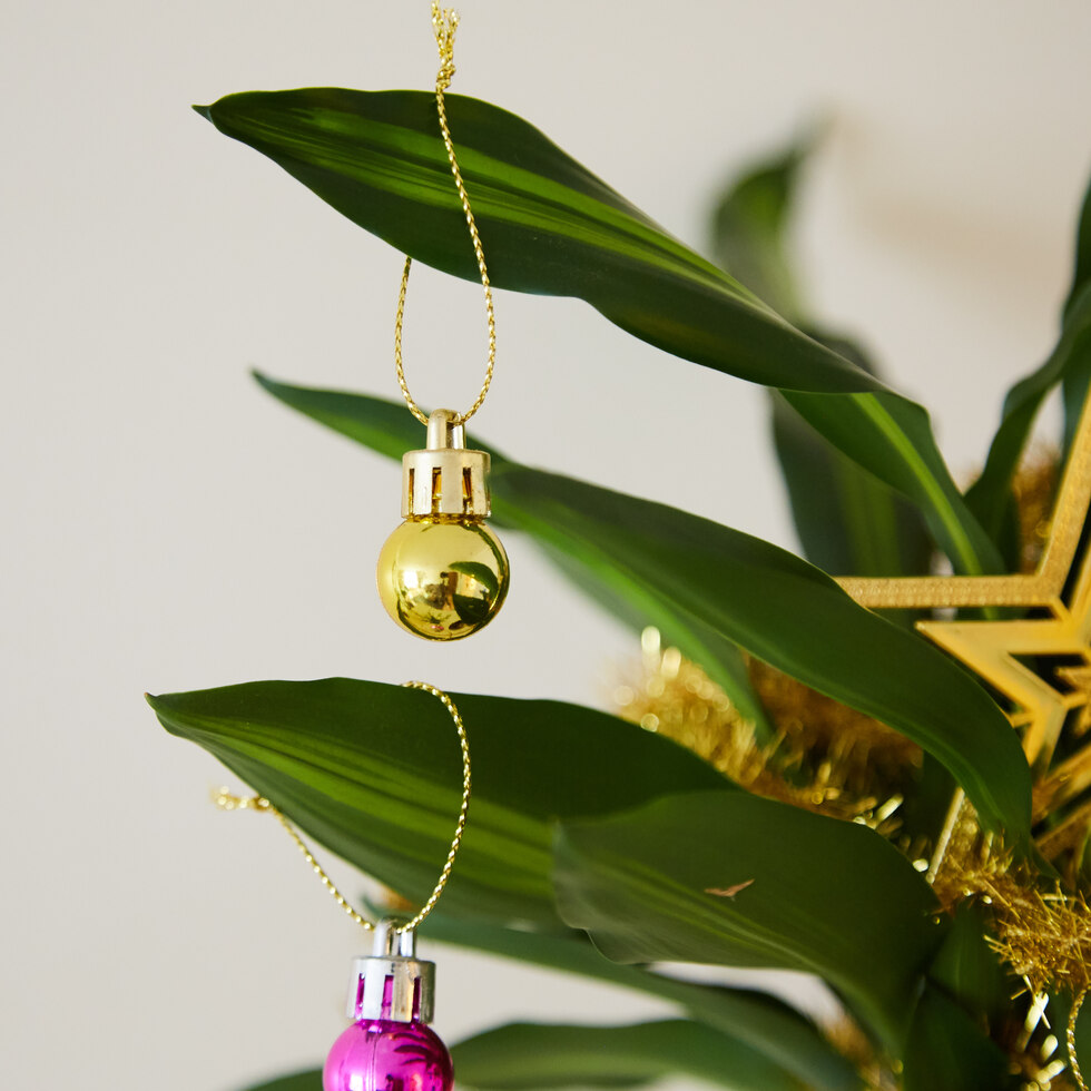 Festive Plant Baubles