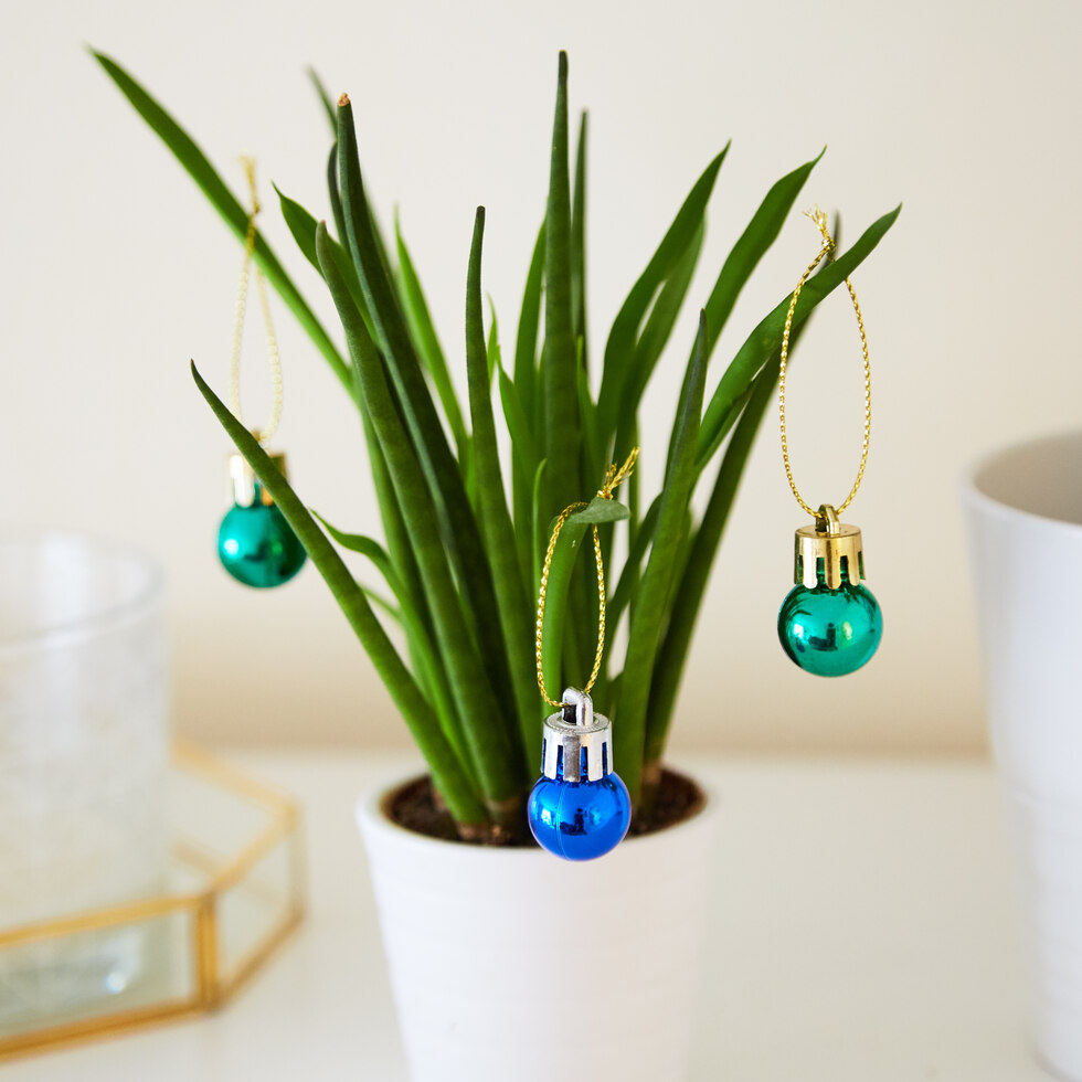 Festive Plant Baubles