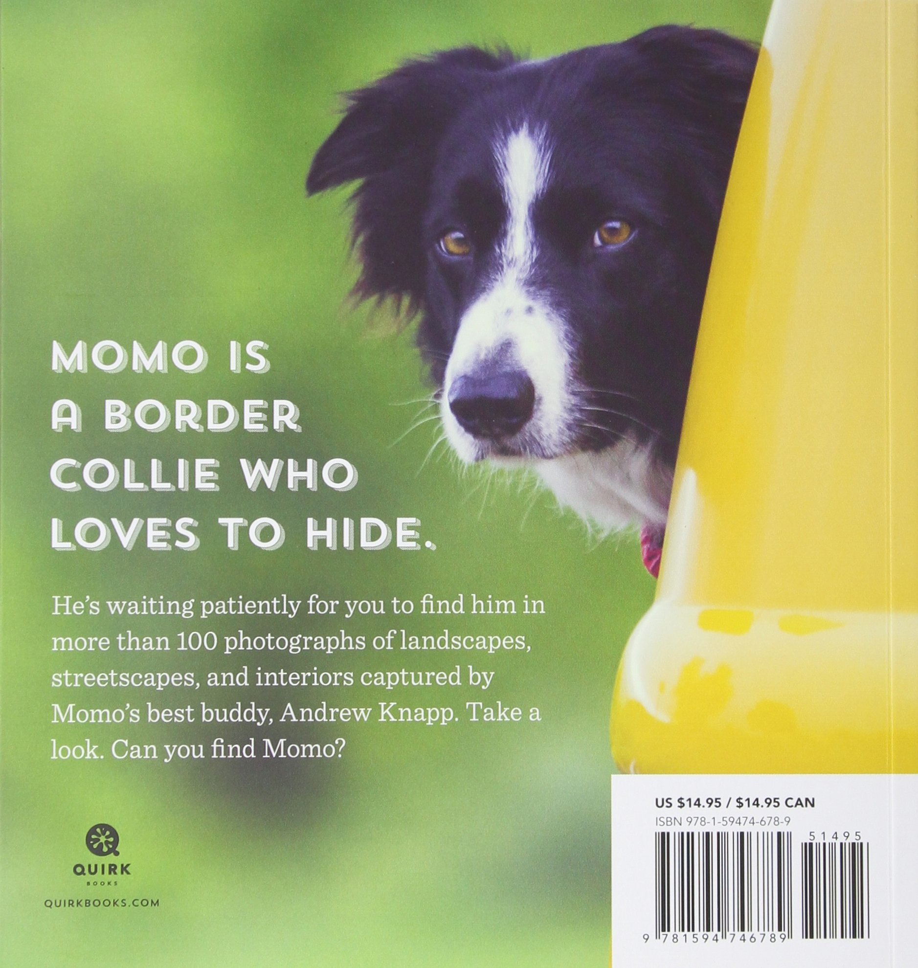 Find Momo: A Photography Book