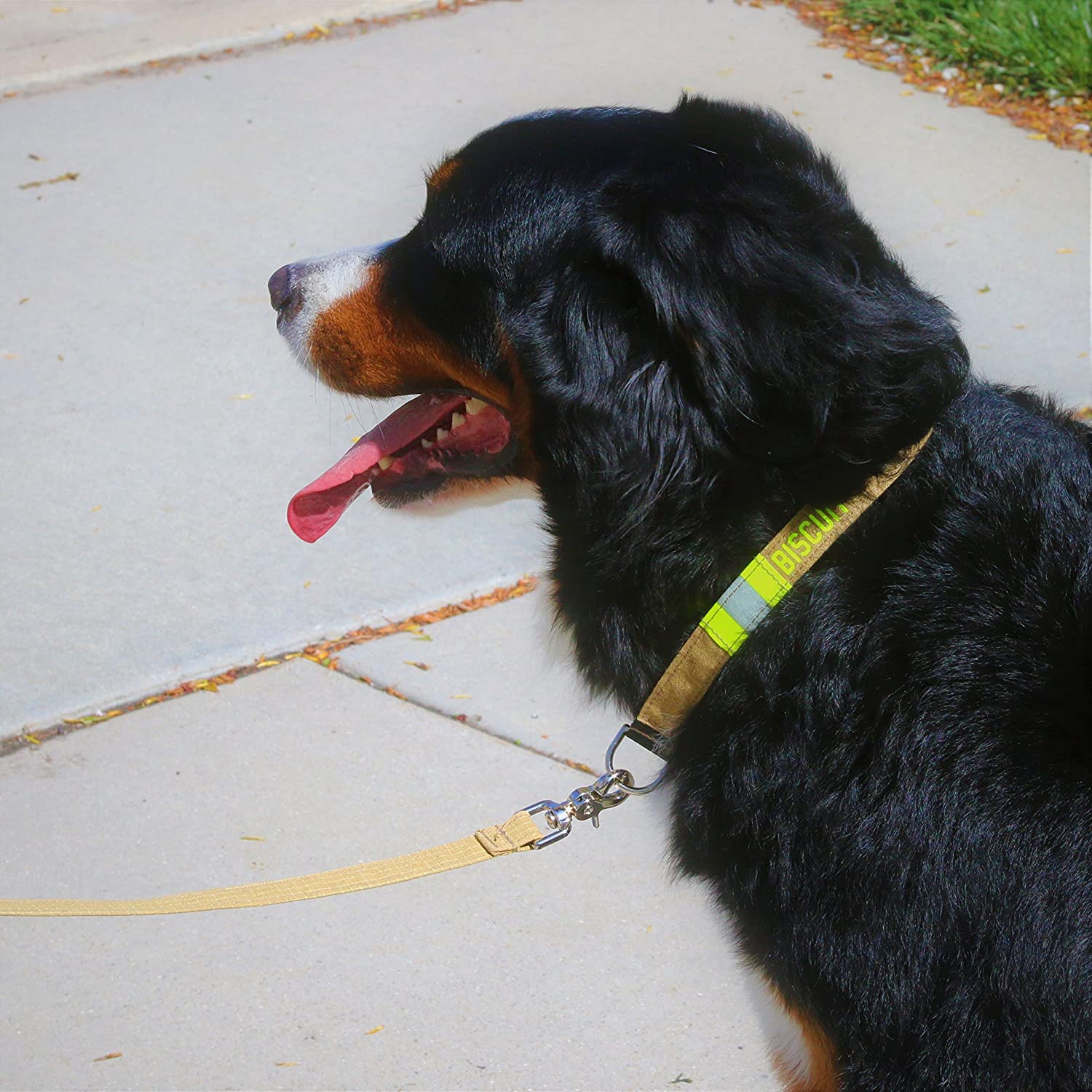 Firefighter Tan Dog Collar