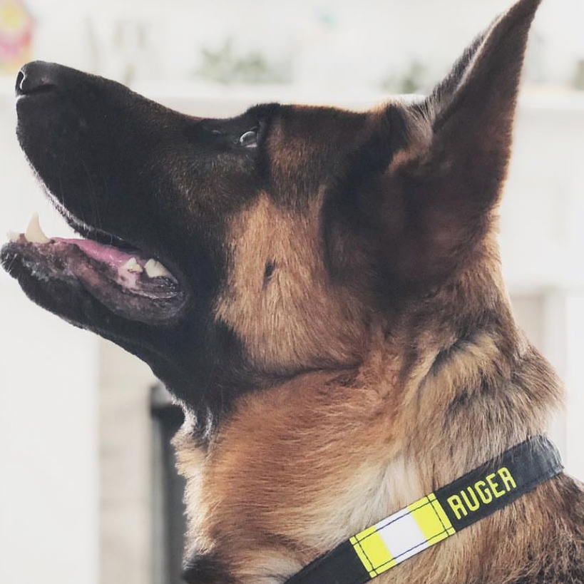 Firefighter Tan Dog Collar