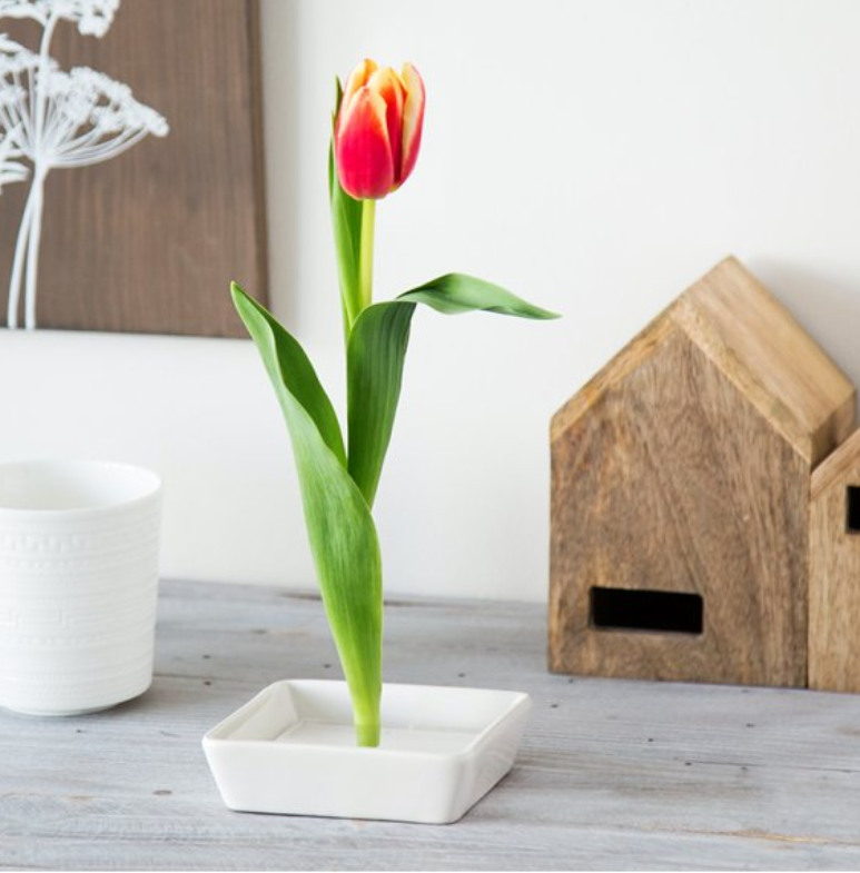 Floating Flower Pin Vase