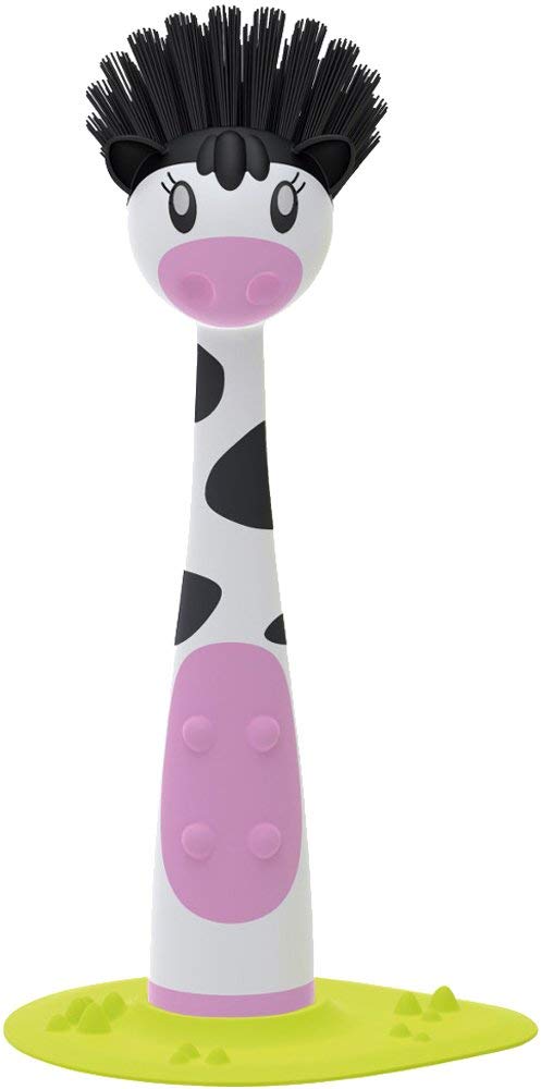 Flower Dish Brush with Vase